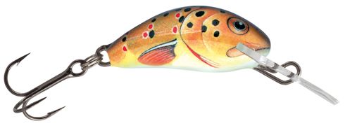 Salmo Hornet - 2.5 cm - trout