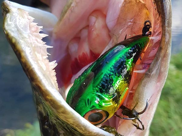 Spro fat iris kunstaas