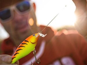 rapala shad rap