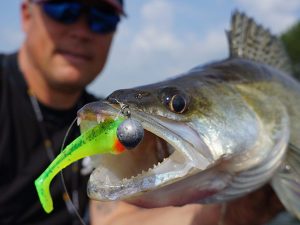 Fox rage pro shad