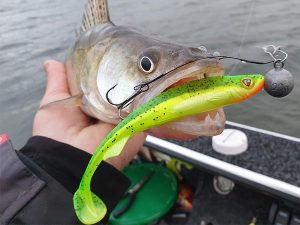 Fox rage slick shad