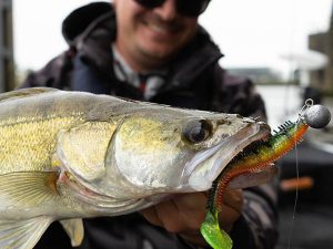 Fox rage spikey shad