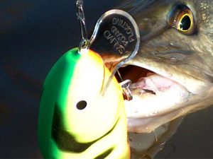 Salmo fatso crank