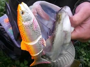 Savage gear 3d trout snoek