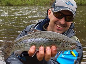 spinmad crazy bug forel