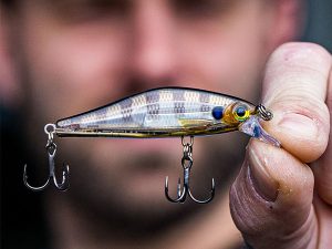 Twitchbait rapala