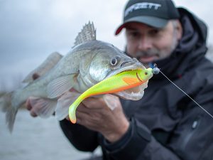 kunstaas shads techniek snoekbaars