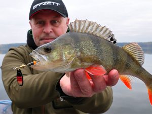 kunstaas spinner techniek baars