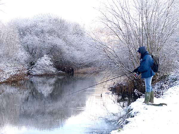 baars vissen winter riviertje