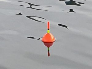 dood aas snoek dobber