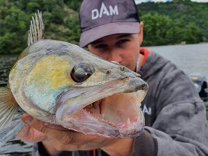 dood aas snoekbaars dam
