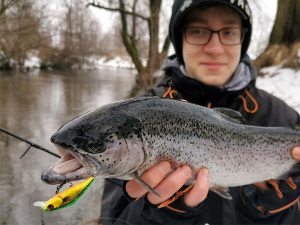 forel kunstaas plug