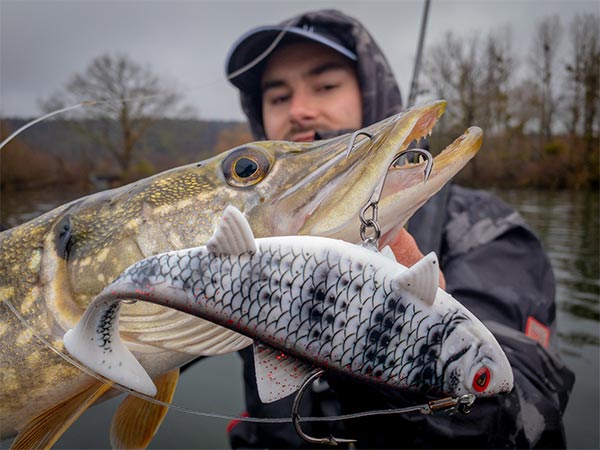 slepend vissen snoek vangst