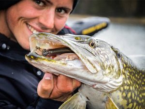snoek vangen shad