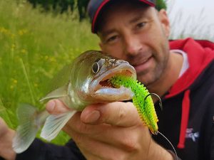 snoekbaars kunstaas fox rage