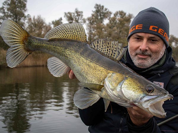 snoekbaars vissen dood aas groot