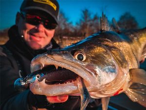 snoekbaars vissen winter vangst