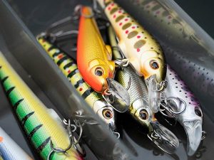 uitrusting snoek baars pluggen
