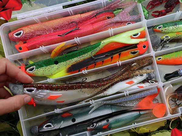 uitrusting snoek baars