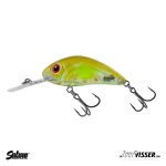 Salmo - Rattlin' Hornet - 4.5 cm - Floating