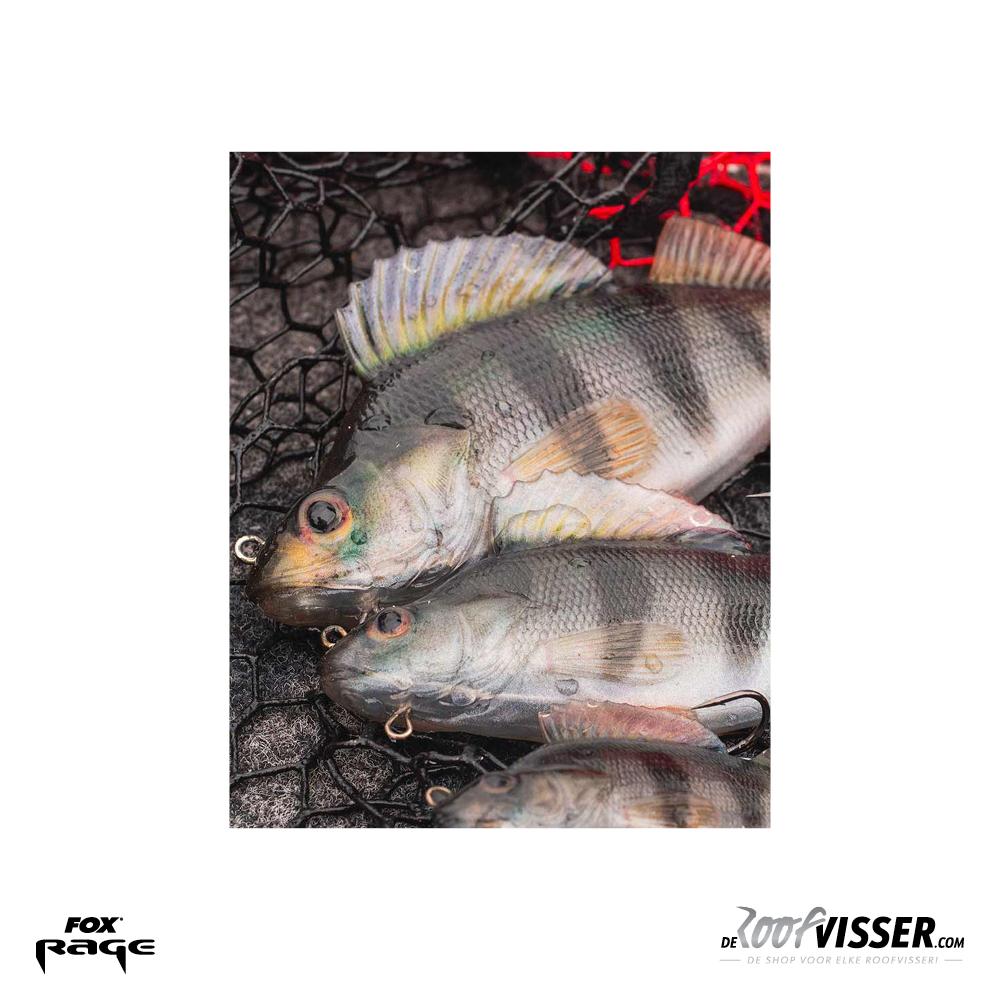 thumbnail image 2 of FOX RAGE Ultra-Realistic Perch Replicant Fishing Lure - Negative Buoyancy Shad Bait For Pike Freshwater Fishing 2 of 6