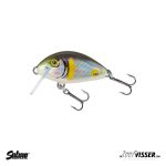 Salmo - Tiny - 3 cm - Floating