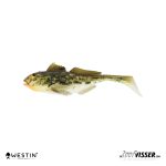 Westin - Gunnar the Goby - 8 cm